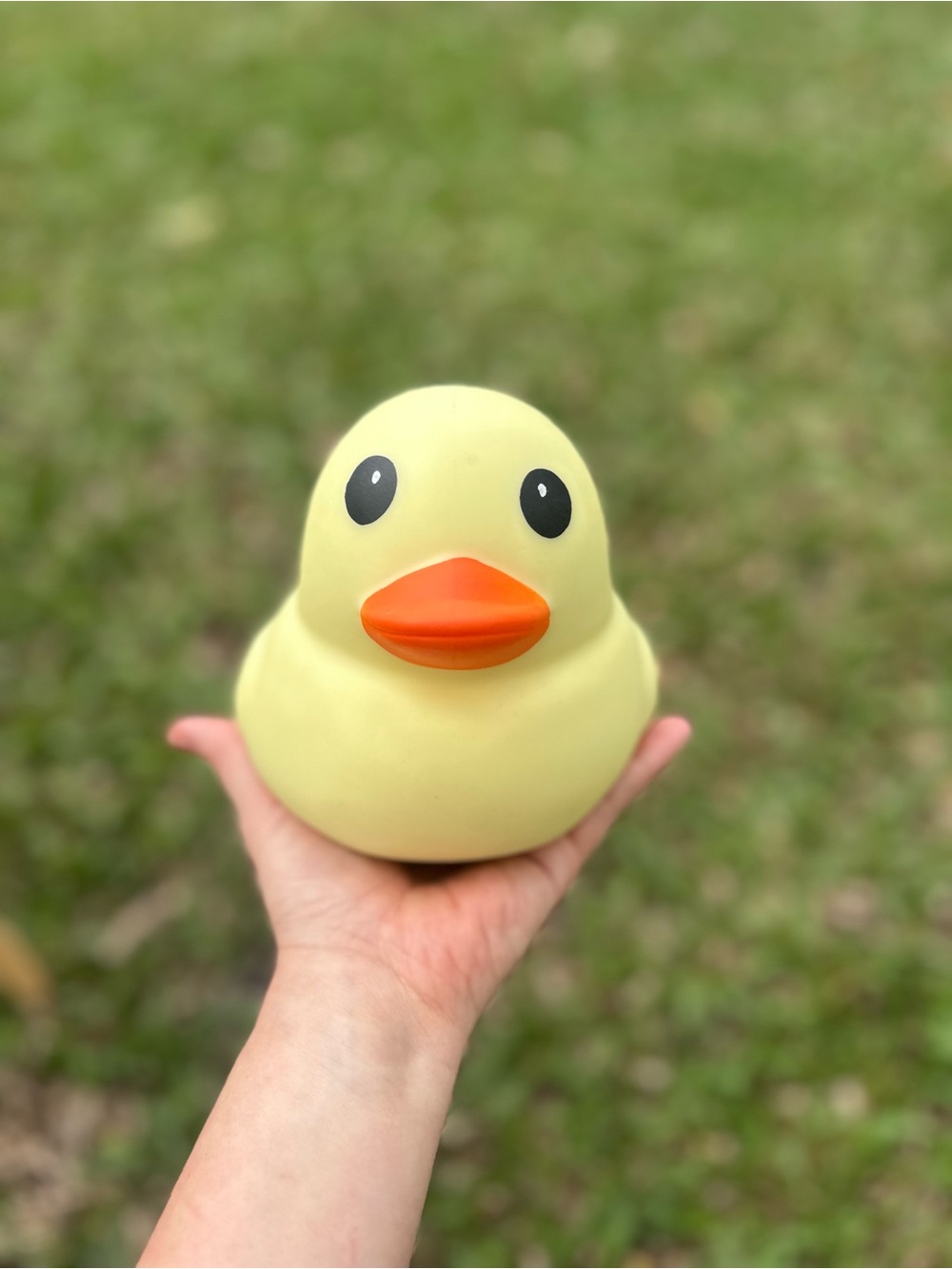 Toymendous Laffy Quack Viral Squish - Pastel Yellow Squishy. Ships FAST!